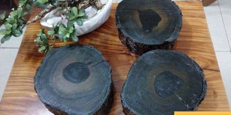 Gỗ Mun Và Gỗ Hương Gỗ Nào Đắt Hơn, So Sánh Mức Giá 2021